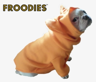 French Bulldog In A Jacket, HD Png Download, Transparent PNG