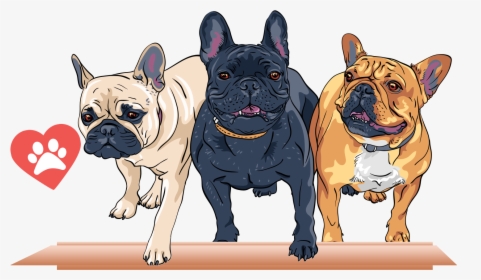 Transparent French Bulldog Clipart, HD Png Download, Transparent PNG