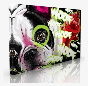 French Bulldog - Boston Terrier, HD Png Download, Transparent PNG
