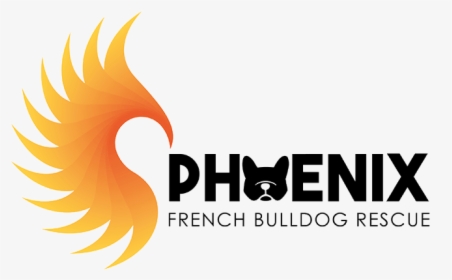 Phoenix French Bulldog Rescue - Phoenix French Bulldog, HD Png Download, Transparent PNG