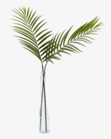 Single Palm Leaf In Vase, HD Png Download, Transparent PNG