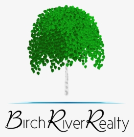 Birch River Realty - Illustration, HD Png Download, Transparent PNG