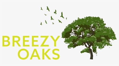 Breezy Oaks Rv Park , Png Download - Tree, Transparent Png, Transparent PNG