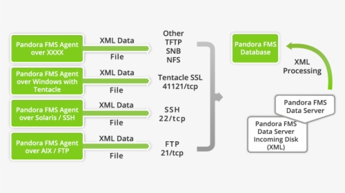 Pandora Fms Architecture, HD Png Download, Transparent PNG