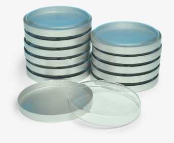 Petri Dishes - Ceramic, HD Png Download, Transparent PNG