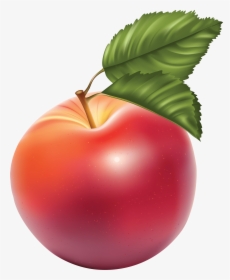 Apple Red Illustration Large - Apples Clipart Free, HD Png Download, Transparent PNG