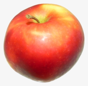 Apple Red 1 - Bush Tomato, HD Png Download, Transparent PNG