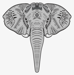 Elephant, Animal, Wildlife, Head - Dibujo De Cabeza De Elefante, HD Png Download, Transparent PNG