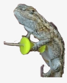 #geko #gecko #thumbtack #love #riverdale #fanartofkai - Mess With The Gecko You Get The Pecko, HD Png Download, Transparent PNG