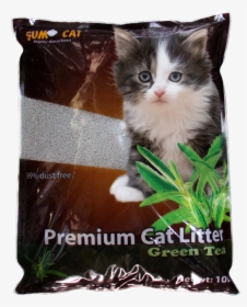 Clip Art Cats Whiskers Plant - Cat Litter Premium, HD Png Download, Transparent PNG