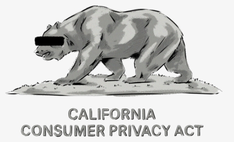 What Is The California Consumer Privacy Act And What - California Ccpa, HD Png Download, Transparent PNG