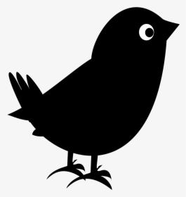 Plane Clipart Blackbird - Black Bird, HD Png Download, Transparent PNG