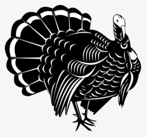 Turkey Bird Png Image With Transparent Background - Wild Turkey Vector Logo, Png Download, Transparent PNG