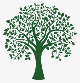 Clip Art Greentree Logo - Family Tree No Background, HD Png Download, Transparent PNG