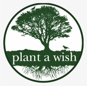 Transparent Plant Logo Png - Green Tree Logo Png, Png Download, Transparent PNG