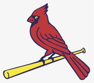 St Louis Cardinals - St Louis Cardinals Png, Transparent Png, Transparent PNG