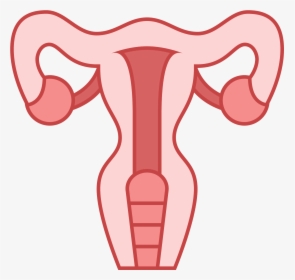 This Icon Represents The Uterus Of A Female Human - Clipart Uterus Png, Transparent Png, Transparent PNG