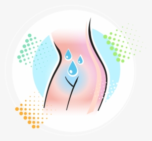 Vulva Hygiene, HD Png Download, Transparent PNG
