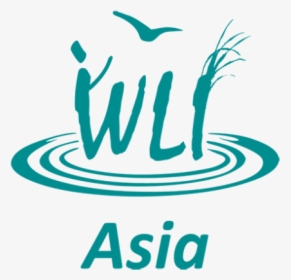 Wetland Link International, HD Png Download, Transparent PNG