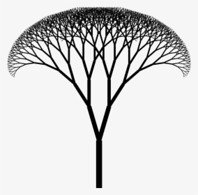 Fractal Tree Png, Transparent Png, Transparent PNG