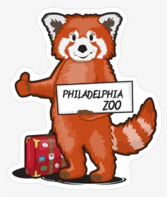 Red Panda   Class Lazyload Lazyload Mirage Featured - Cartoon, HD Png Download, Transparent PNG