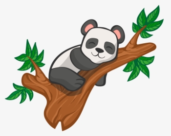 Red Panda,plant,flower - Imagenes De Osos Pandas Animados, HD Png Download, Transparent PNG