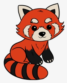 How To Draw Red Panda - Easy Red Panda Drawing Step By Step, HD Png Download, Transparent PNG