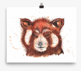 Image Of Red Panda - Red Fox, HD Png Download, Transparent PNG