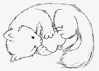Panda Black And White Lineart - Line Art, HD Png Download, Transparent PNG