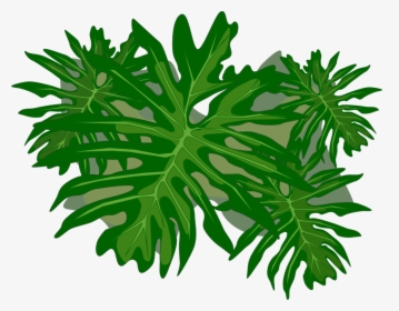 Plant Stem,tree,plant - Philodendron Png, Transparent Png, Transparent PNG