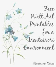 Montessori Classroom Wall Art, HD Png Download, Transparent PNG