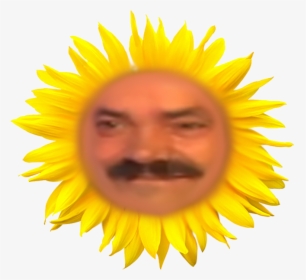 Http - //image - Noelshack - 3311477776 5c660ca165, HD Png Download, Transparent PNG