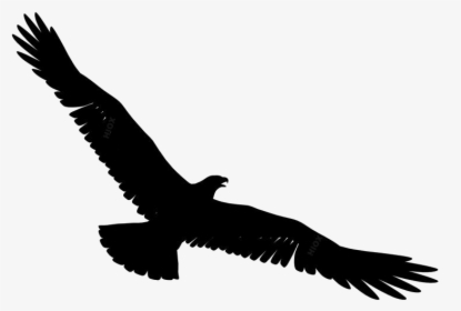 Eagle Spreading Its Wings Png Background Hd - Bird Flying Gif Transparent, Png Download, Transparent PNG