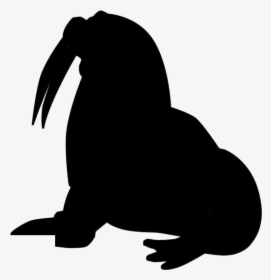 Walrus Png Image With Transparent Background - Illustration, Png Download, Transparent PNG
