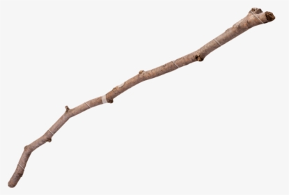 Marshmallow In A Stick, HD Png Download, Transparent PNG
