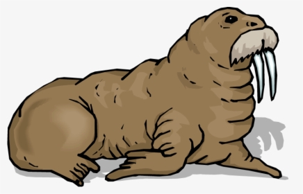Walrus Free To Use Cliparts - Walrus Clipart, HD Png Download ...