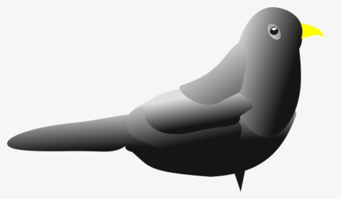 Flightless Bird,water Bird,walrus - Lovebird, HD Png Download, Transparent PNG