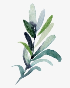 Twigs Png, Transparent Png, Transparent PNG