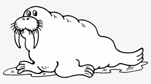 Walrus Odobenus Rosmarus Seal Free Photo - Walrus Clipart Black And White, HD Png Download, Transparent PNG