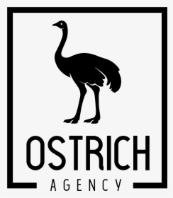 Ostrich Agency - Flightless Bird, HD Png Download, Transparent PNG