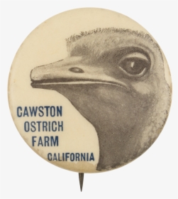 Cawston Ostrich Farm Event Button Museum - Bald Eagle, HD Png Download, Transparent PNG