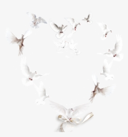 #heart #shape #doves #love #ribbons #decorative - Necklace, HD Png Download, Transparent PNG