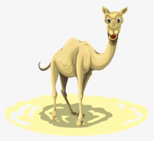 Clip Art Did You Know Interesting - Camel, HD Png Download, Transparent PNG