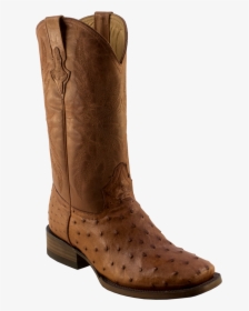 Pecos Bill Cognac Full Quill Square Toe Ostrich Boot - Boot, HD Png Download, Transparent PNG