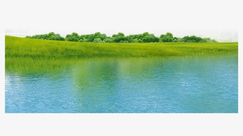 Transparent Polluted River Clipart - Freshwater Marsh, HD Png Download, Transparent PNG