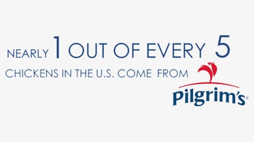 1 Out Of 5 Chickens In The Us Comes From Pilgrim S - Pilgrim's Pride, HD Png Download, Transparent PNG