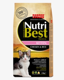 Comida Para Gatitos - Nutribest Cat 2 Kg, HD Png Download, Transparent PNG