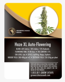 Haze Xl Auto-flowering Feminized Cannabis Seeds - Growers Choice Gorilla Glue, HD Png Download, Transparent PNG