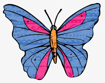 Animals That Fly Drawing, HD Png Download, Transparent PNG