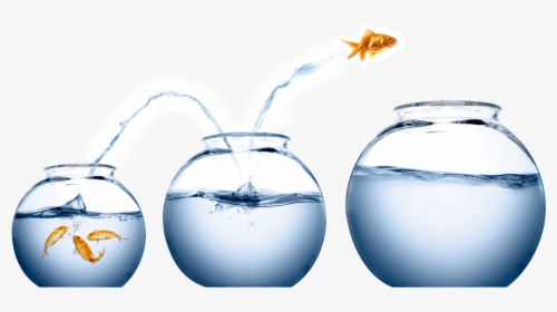 Fish Jumping From One Bowl To Another, HD Png Download, Transparent PNG